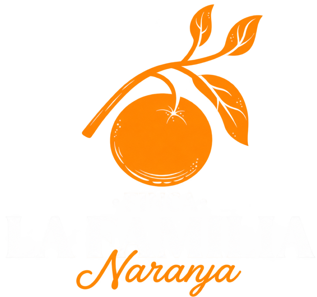 LFN transparant